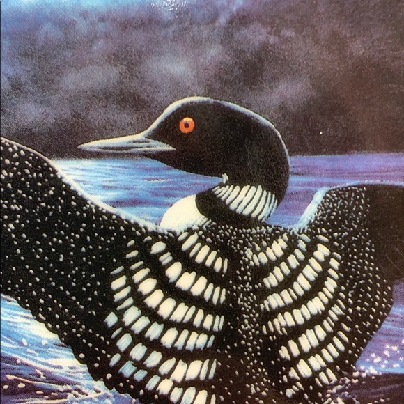 “Night Light” Loon Collector Plate - Picture 2 of 7